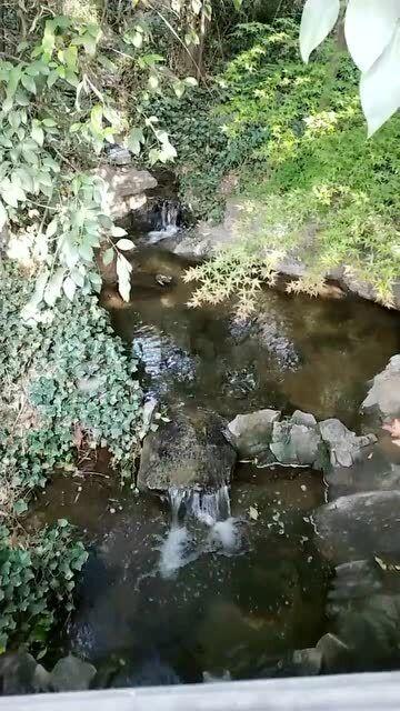 芭比的电影灵感
